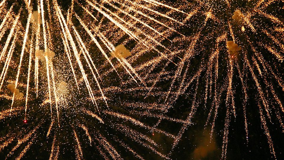 Halle Viennese - 4 January 2025