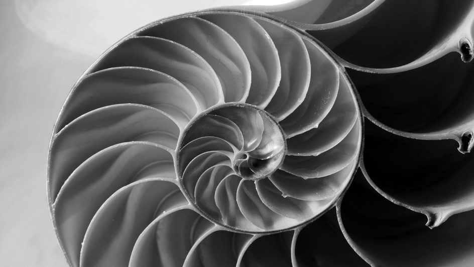 BBC Philharmonic - Steve Reich: The Four Sections | Saturday 29 November 2025