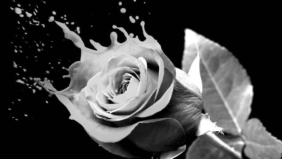 BBC Philharmonic - Romeo & Juliet | Saturday 21 February 2026